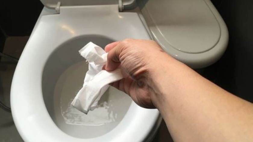 Nên hay không nên vứt giấy vào bồn cầu sau khi đi vệ sinh?